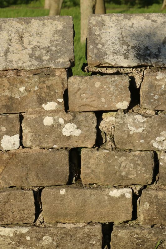 Rock Wall Repair in Middlesex County, MA
